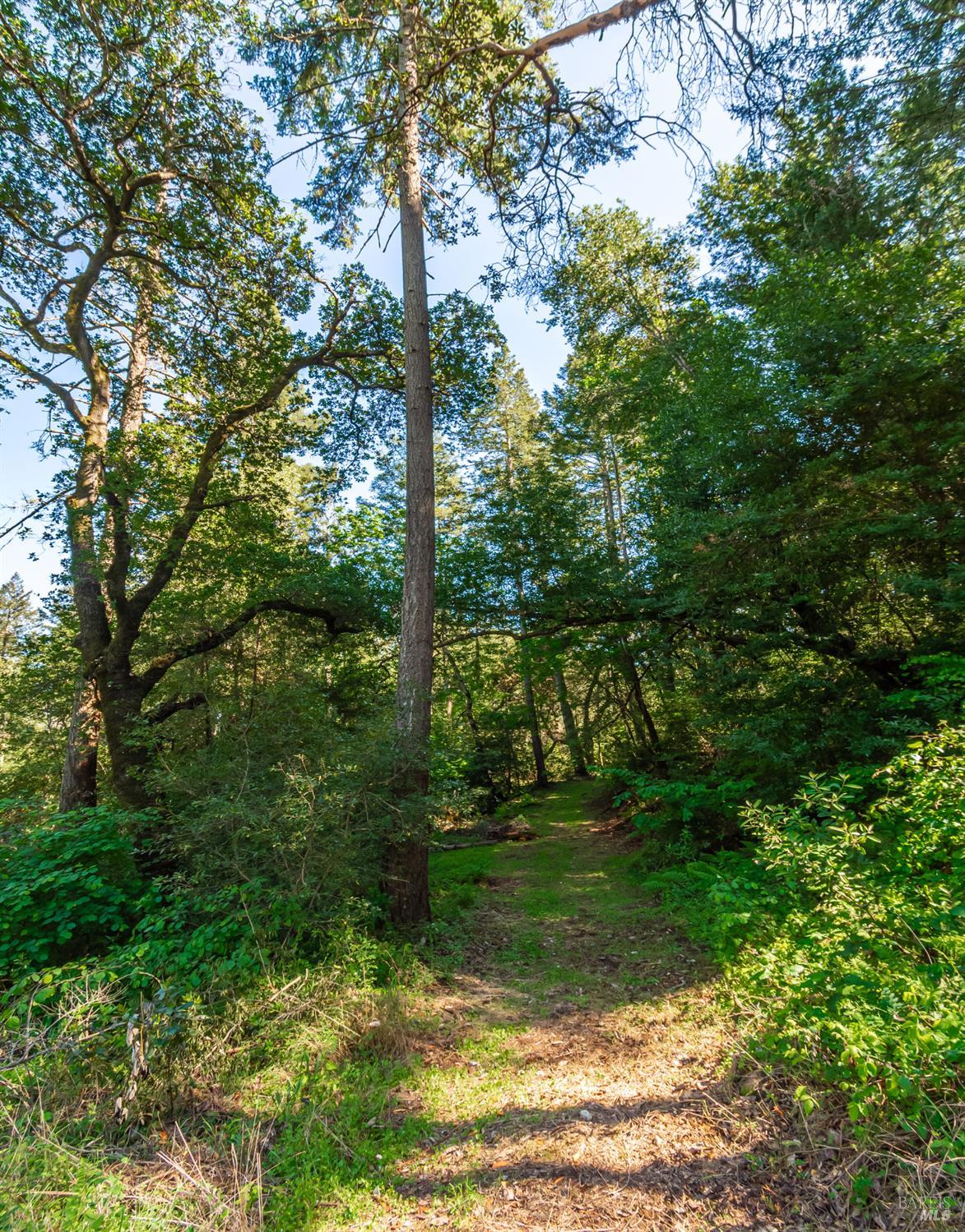 0 Dry Creek Road Napa, CA 94558 - Photo 47 of 98