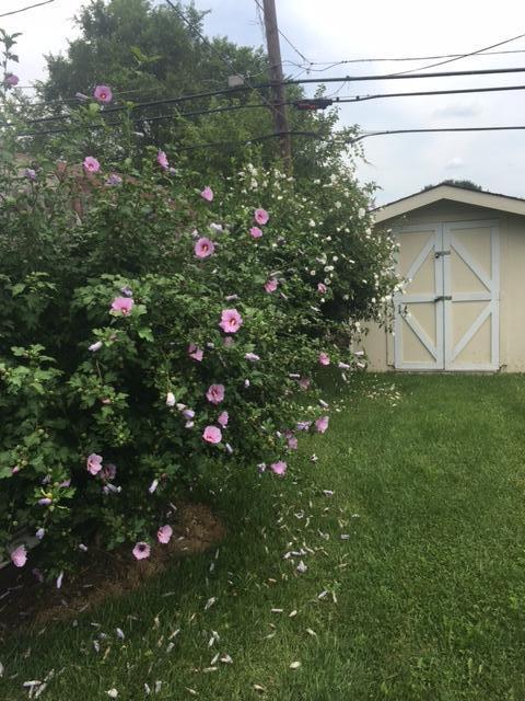 3860 Fergus Road Columbus, OH 43207 - Photo 11 of 21 Gallery Image 11