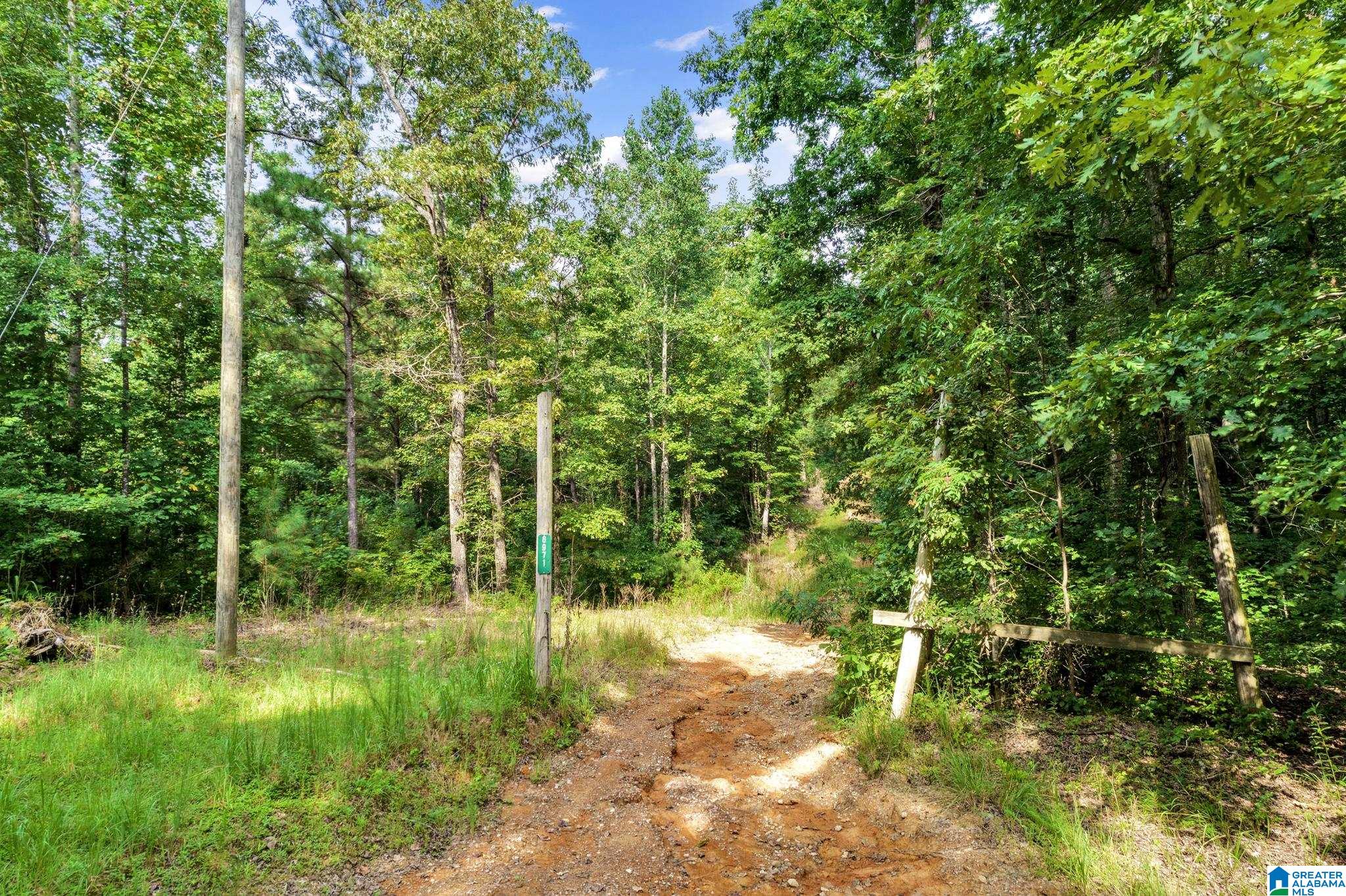 6971 Chambers Lane, Unit 1 Dora, AL 35062 - Photo 2 of 21