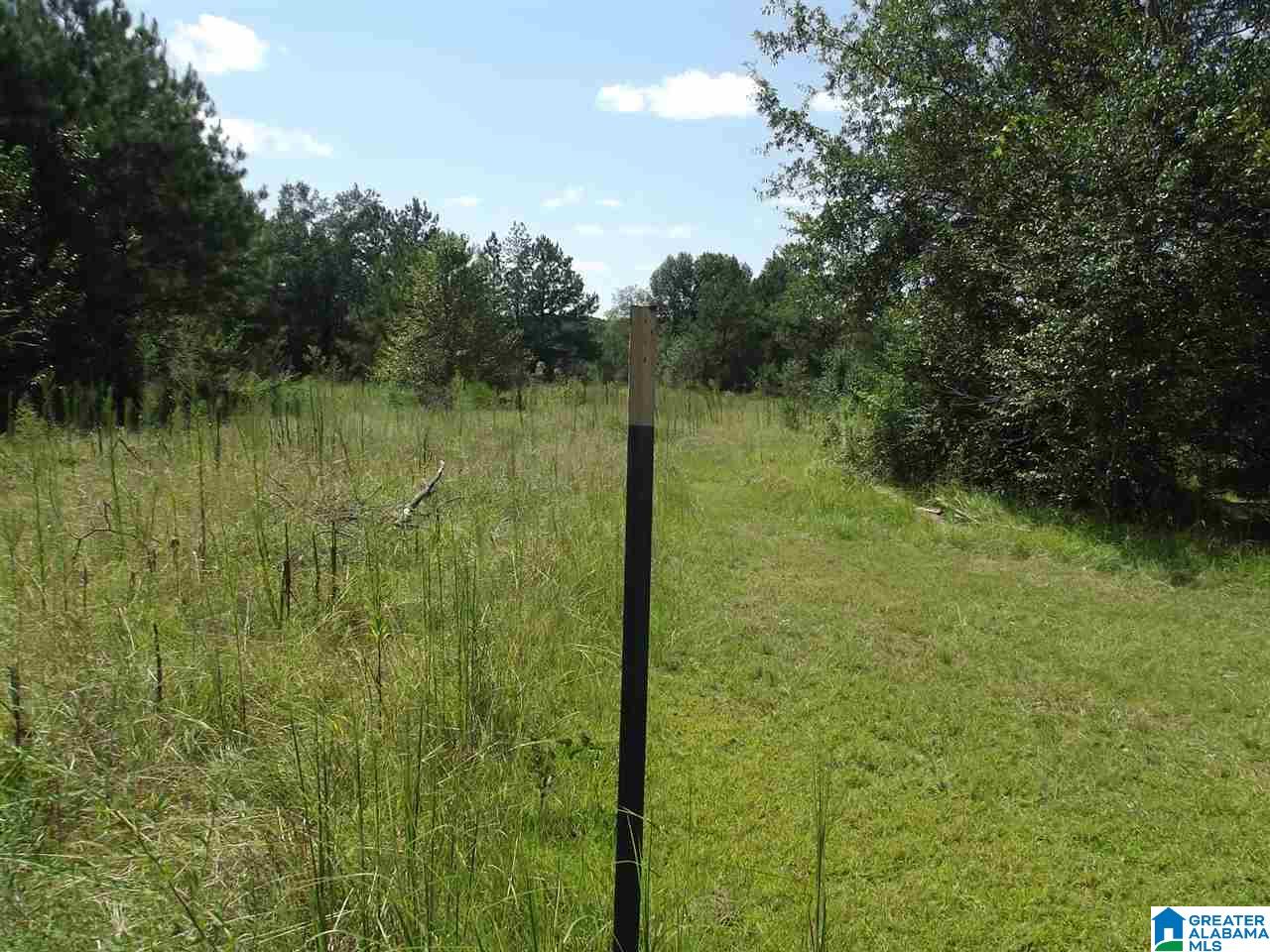 214 Brannen Road Sylacauga, AL 35150 - Photo 29 of 36