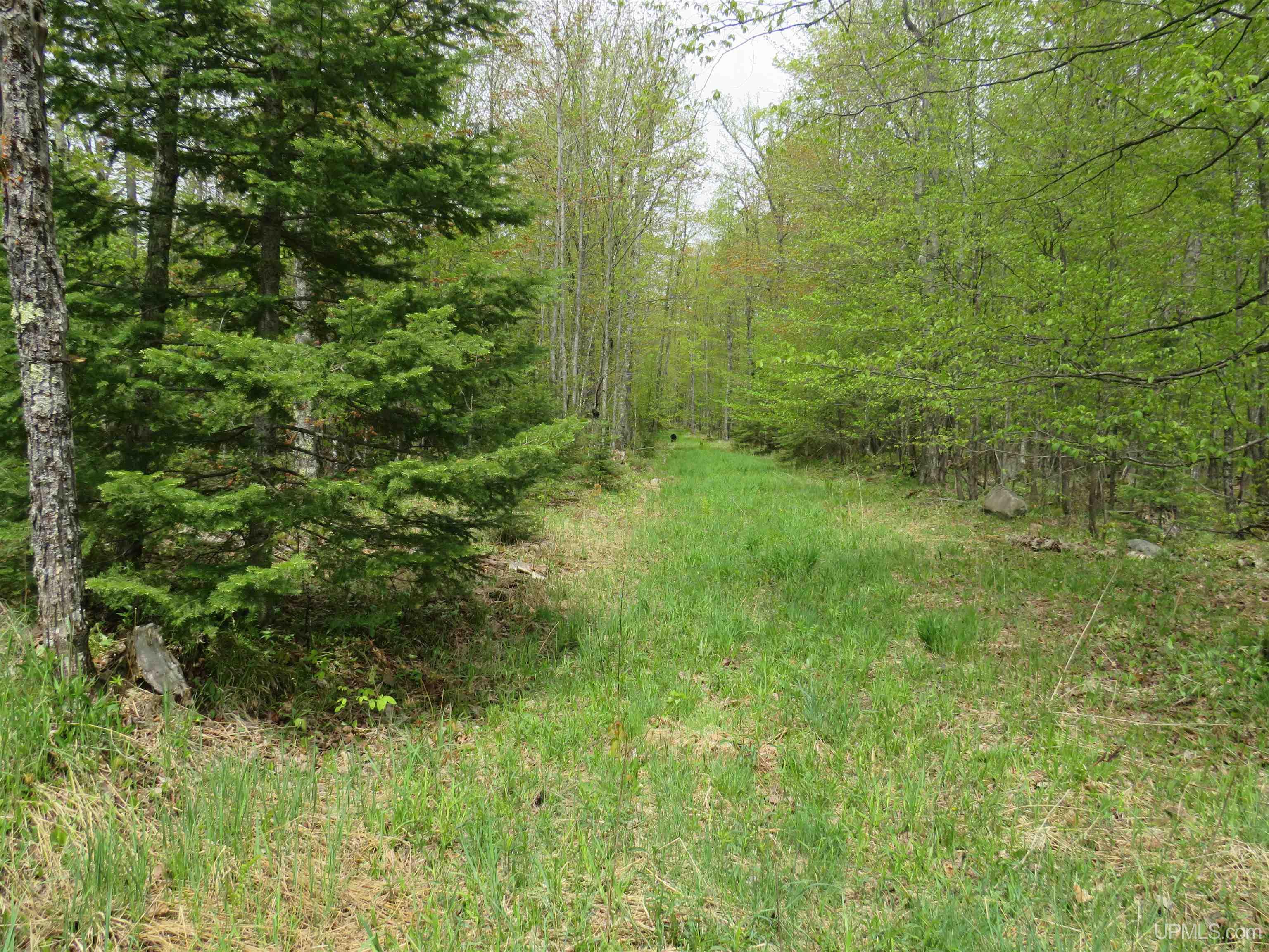 16 North Section 16 Road Covington, MI 49919 - Photo 11 of 24