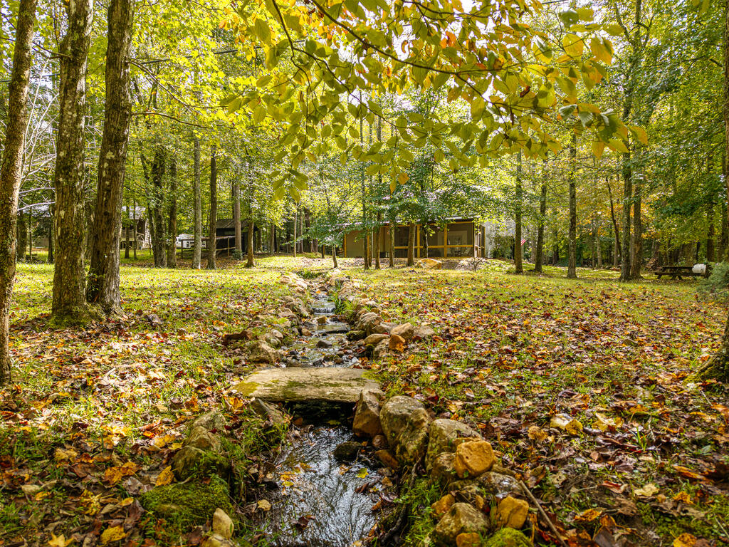 331 Rocky Hollow Road Ellijay, GA 30536 - Photo 15 of 70 Gallery Image 15