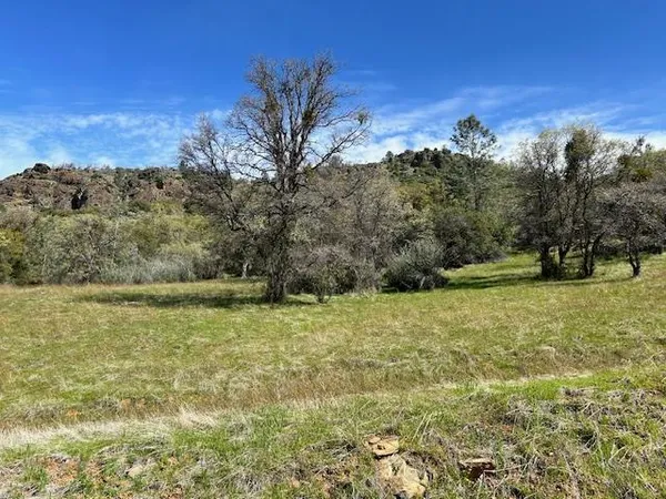a view of a big yard with an trees