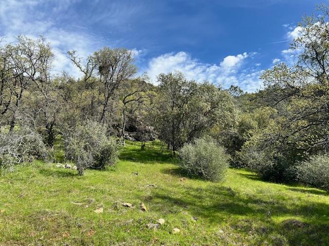 0 Moccasin Ranch Road Coulterville, CA 95311 - Photo 6 of 10