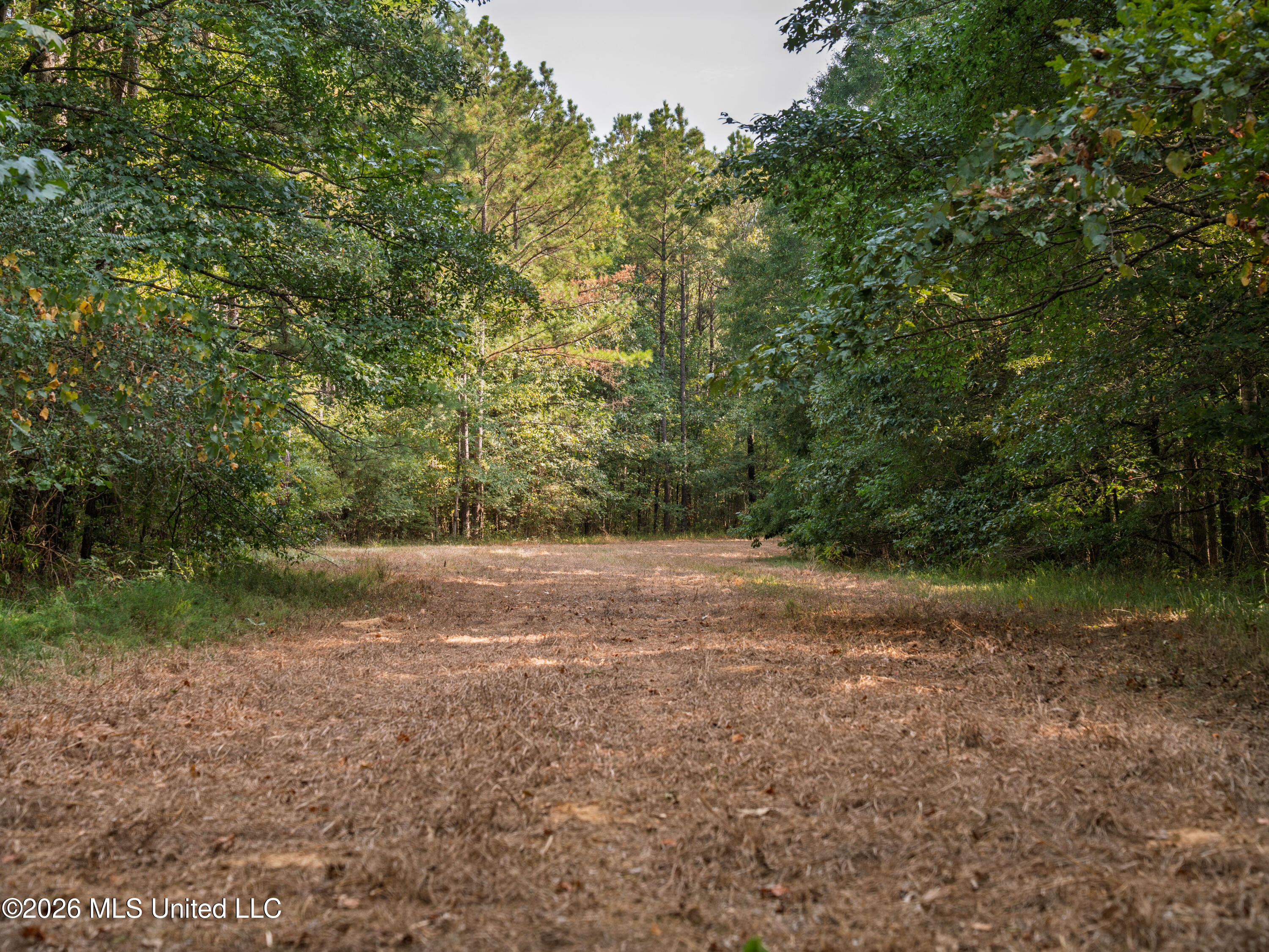 884 Truitt Road Pickens, MS 39146 - Photo 7 of 36 A7404489