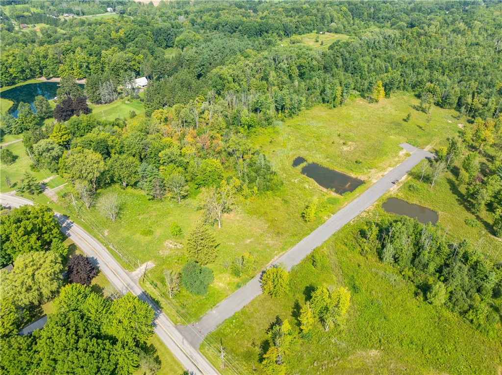 Lot 11 Clevenger Road Ontario, NY 14519 - Photo 4 of 6