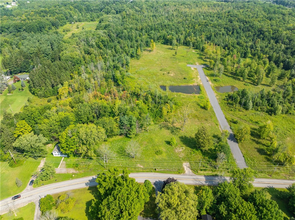 Lot 11 Clevenger Road Ontario, NY 14519 - Photo 5 of 6