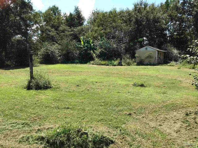 $250,000 | 2529 Molino Road, Molino, FL 32577