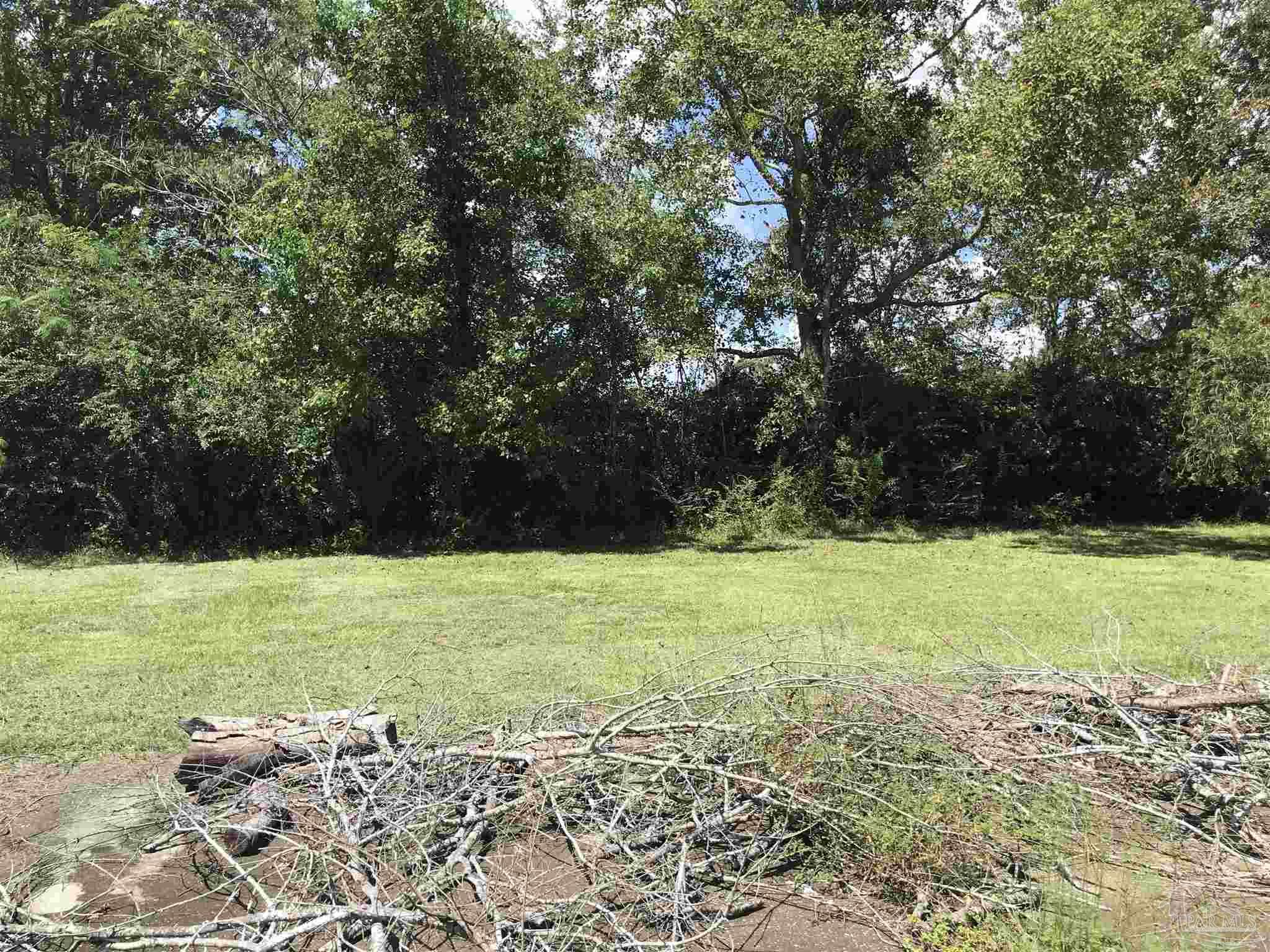 2529 Molino Road Molino, FL 32577 - Photo 38 of 43