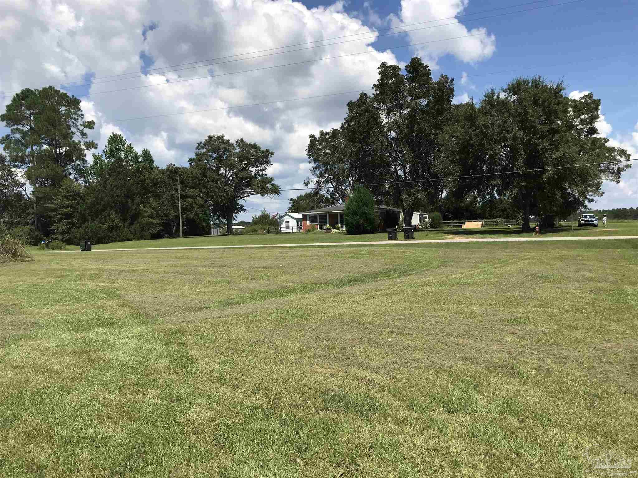 2529 Molino Road Molino, FL 32577 - Photo 6 of 43 a view of a tall trees with a big yard