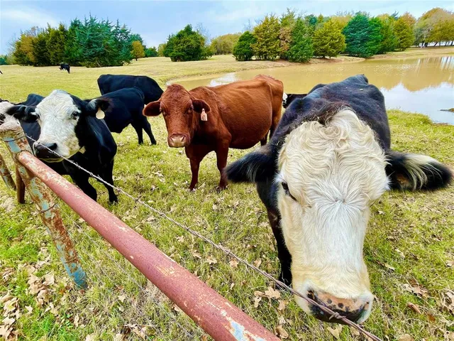a view of swimming pool from a lake view