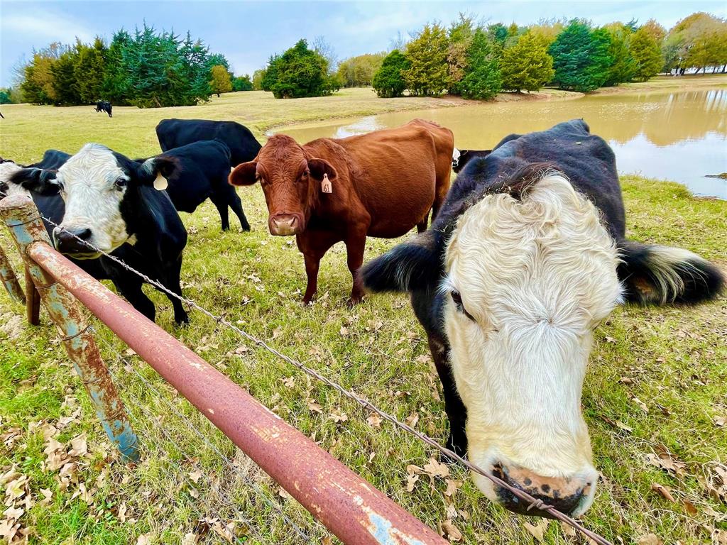 945 Brickyard Road West, TX 76691 - Photo 7 of 25 a view of swimming pool from a lake view