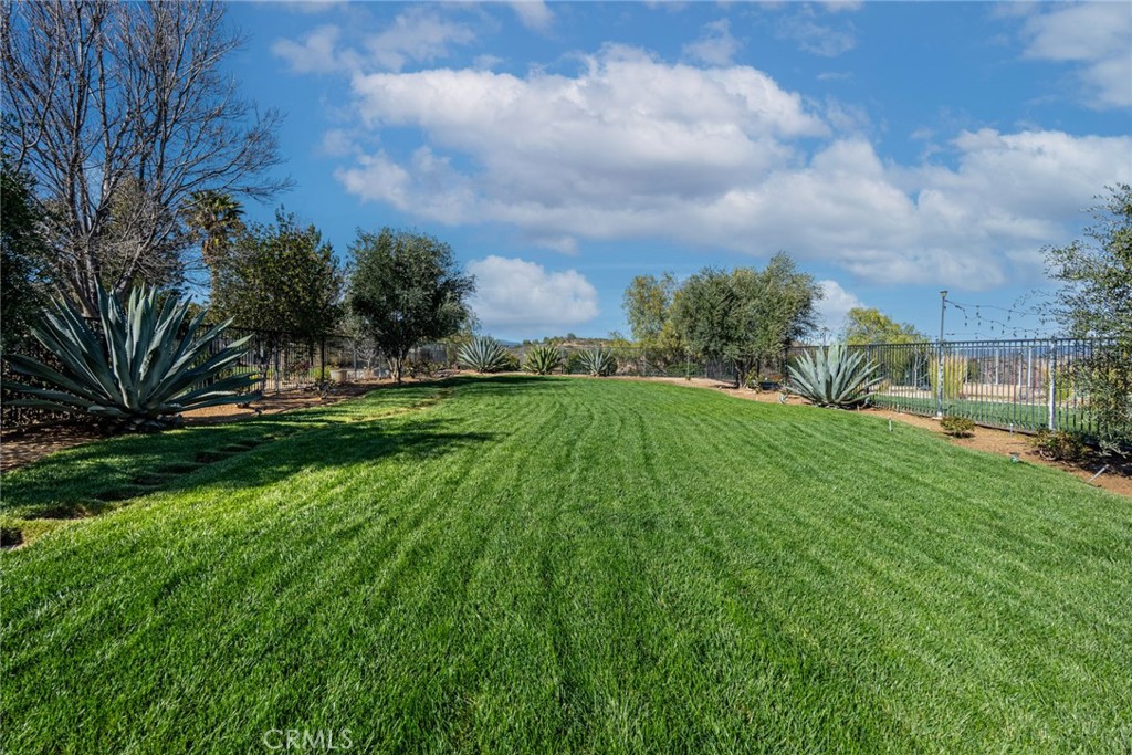 28201 Springvale Lane Castaic, CA 91384 - Photo 44 of 59 Landscaped backyard.