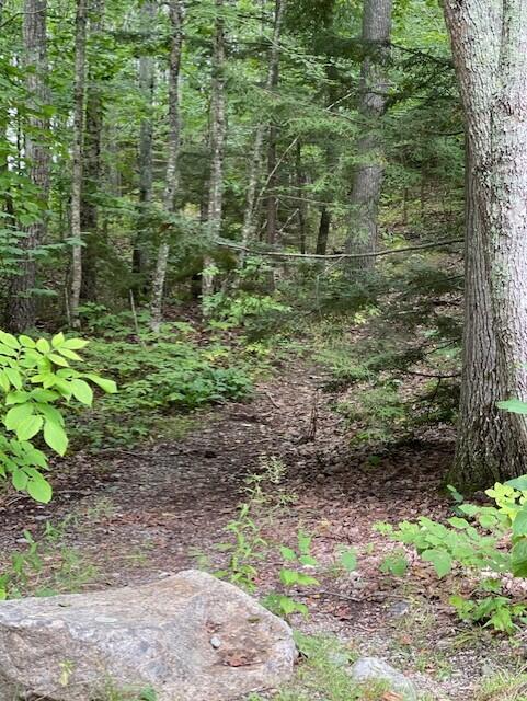 Nr Neck Road Litchfield, ME 04350 - Photo 1 of 1 Neck Rd