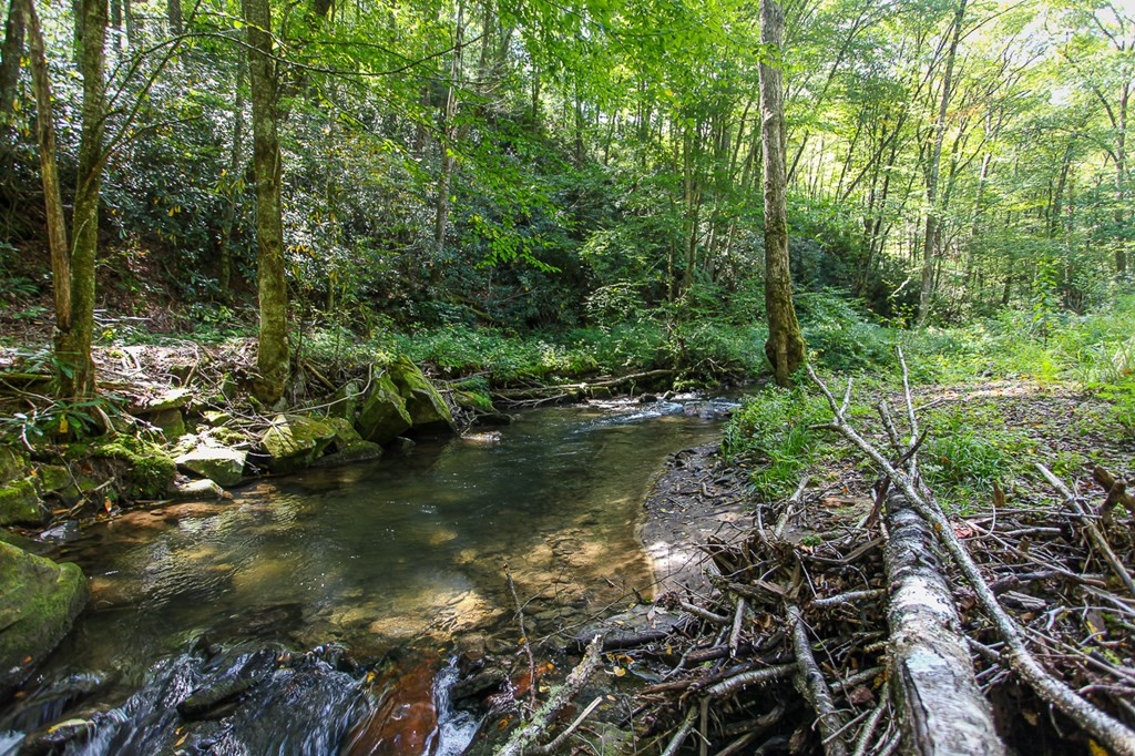 9765 Little Snowbird Road Robbinsville, NC 28771 - Photo 14 of 34