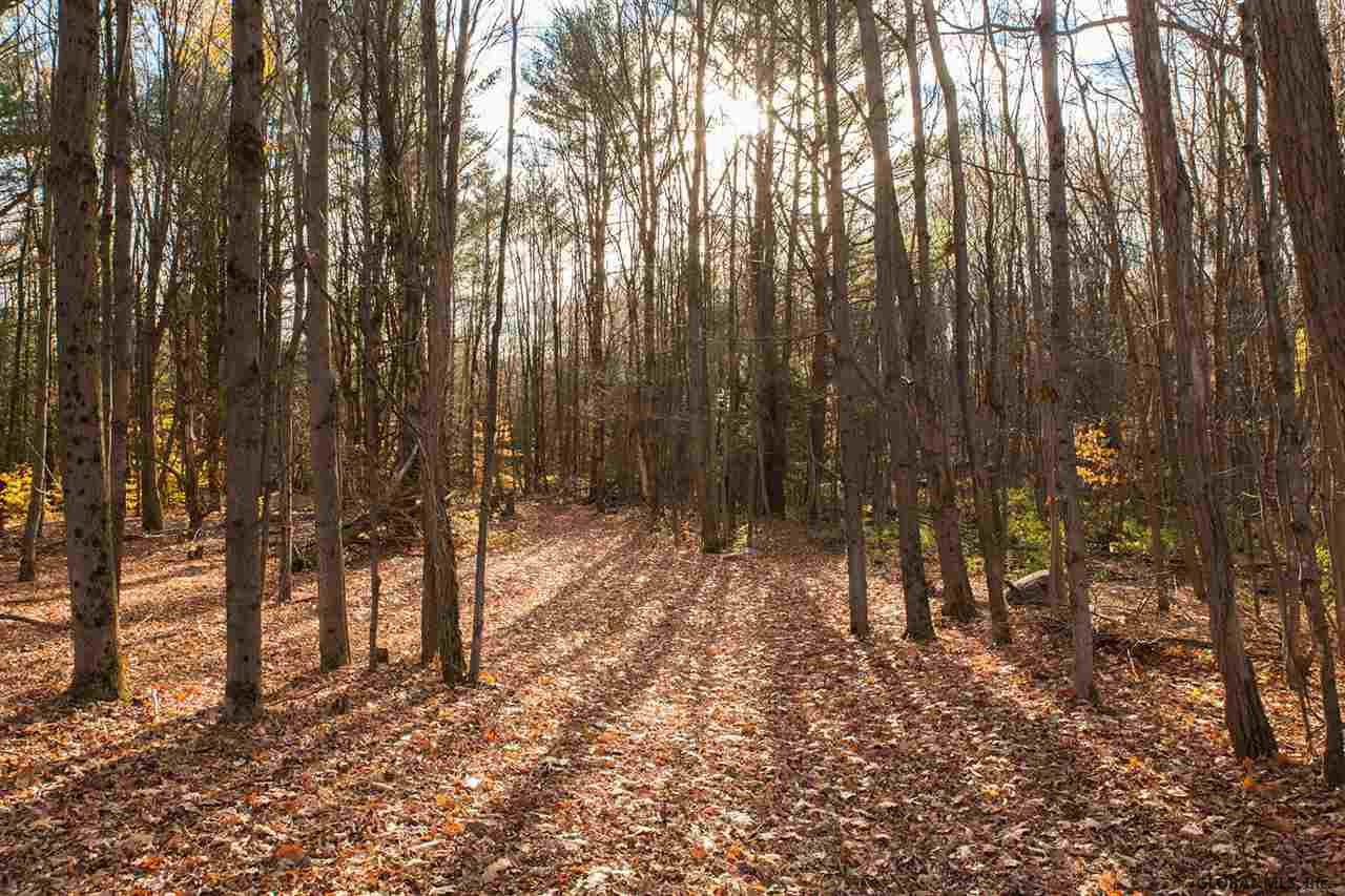 427 South Greenfield Road Greenfield Center, NY 12833 - Photo 3 of 10 Photo 3