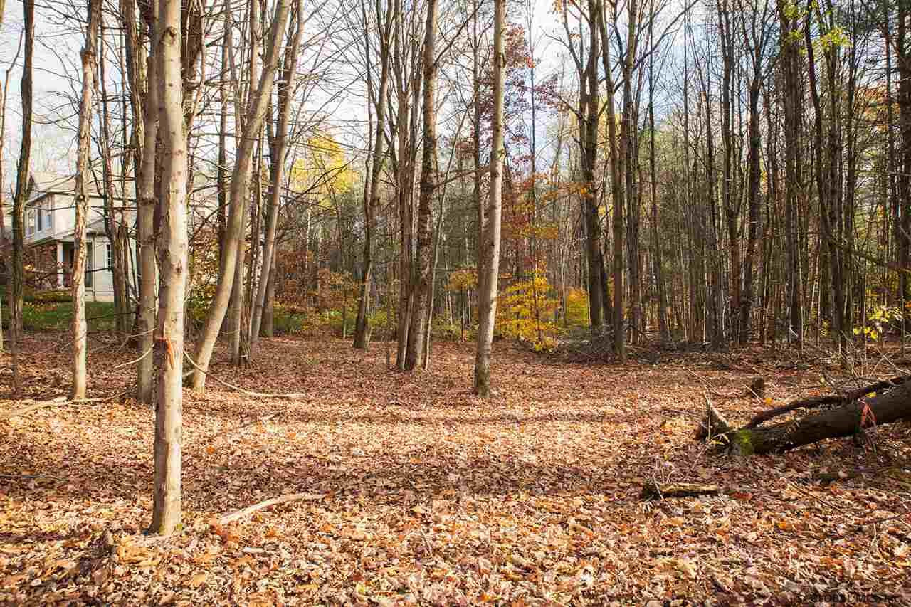 427 South Greenfield Road Greenfield Center, NY 12833 - Photo 4 of 10 Photo 4