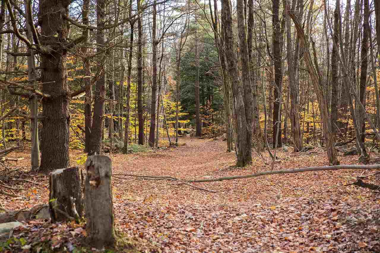 427 South Greenfield Road Greenfield Center, NY 12833 - Photo 9 of 10 Photo 9