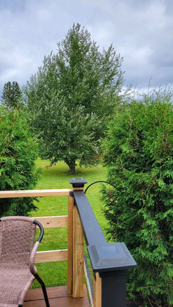 25 Cleveland Road St. Agatha, ME 04772 - Photo 41 of 47 2022081995130549