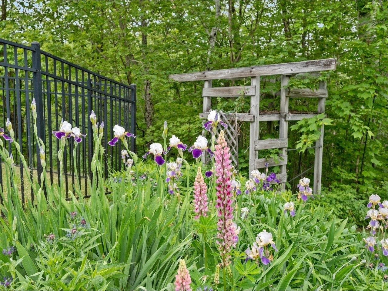 89 Carlson Road Worcester, VT 05682 - Photo 49 of 60