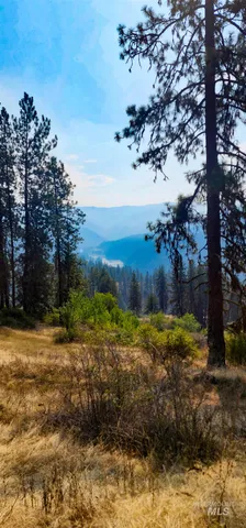 $319,000 | Tbd Suttler Creek Road, Kooskia, ID 83539