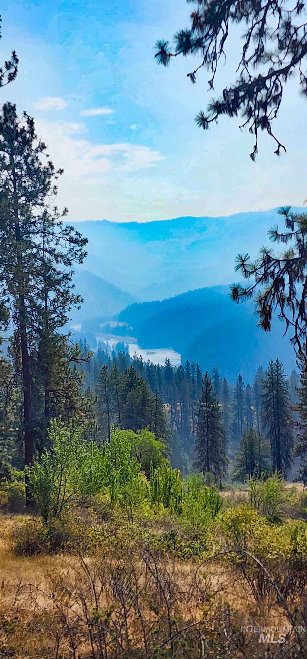 Tbd Suttler Creek Road Kooskia, ID 83539 - Photo 12 of 17 Mountain view with a forest