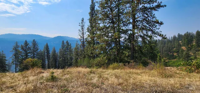 $319,000 | Tbd Suttler Creek Road, Kooskia, ID 83539