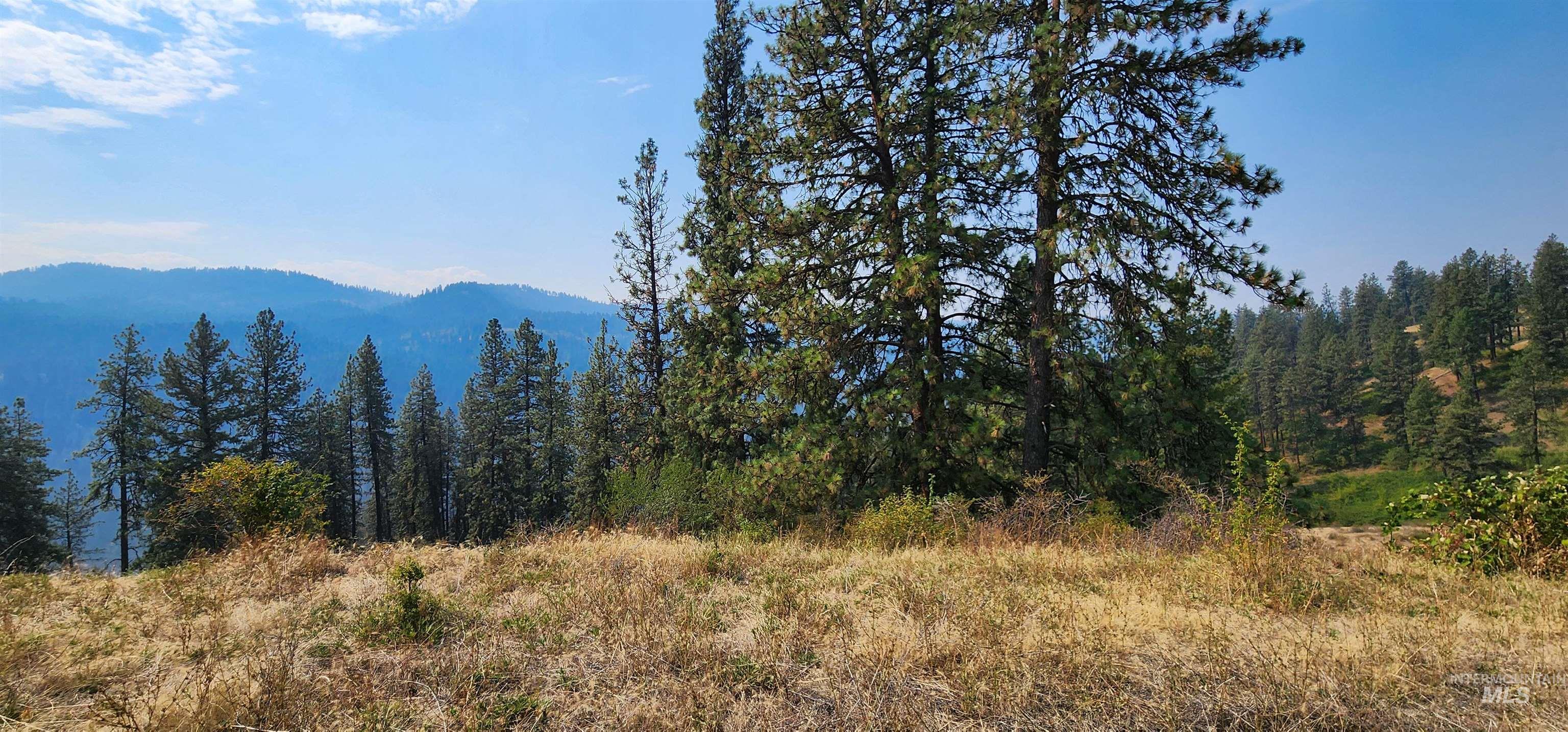 Tbd Suttler Creek Road Kooskia, ID 83539 - Photo 14 of 17 View of mountain backdrop with a heavily wooded area