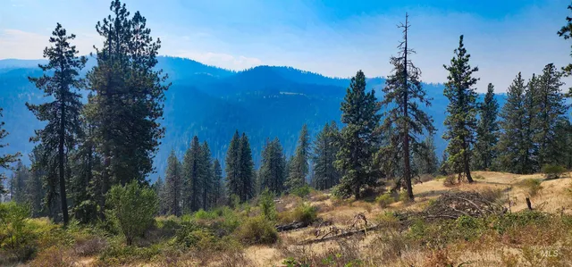 $319,000 | Tbd Suttler Creek Road, Kooskia, ID 83539