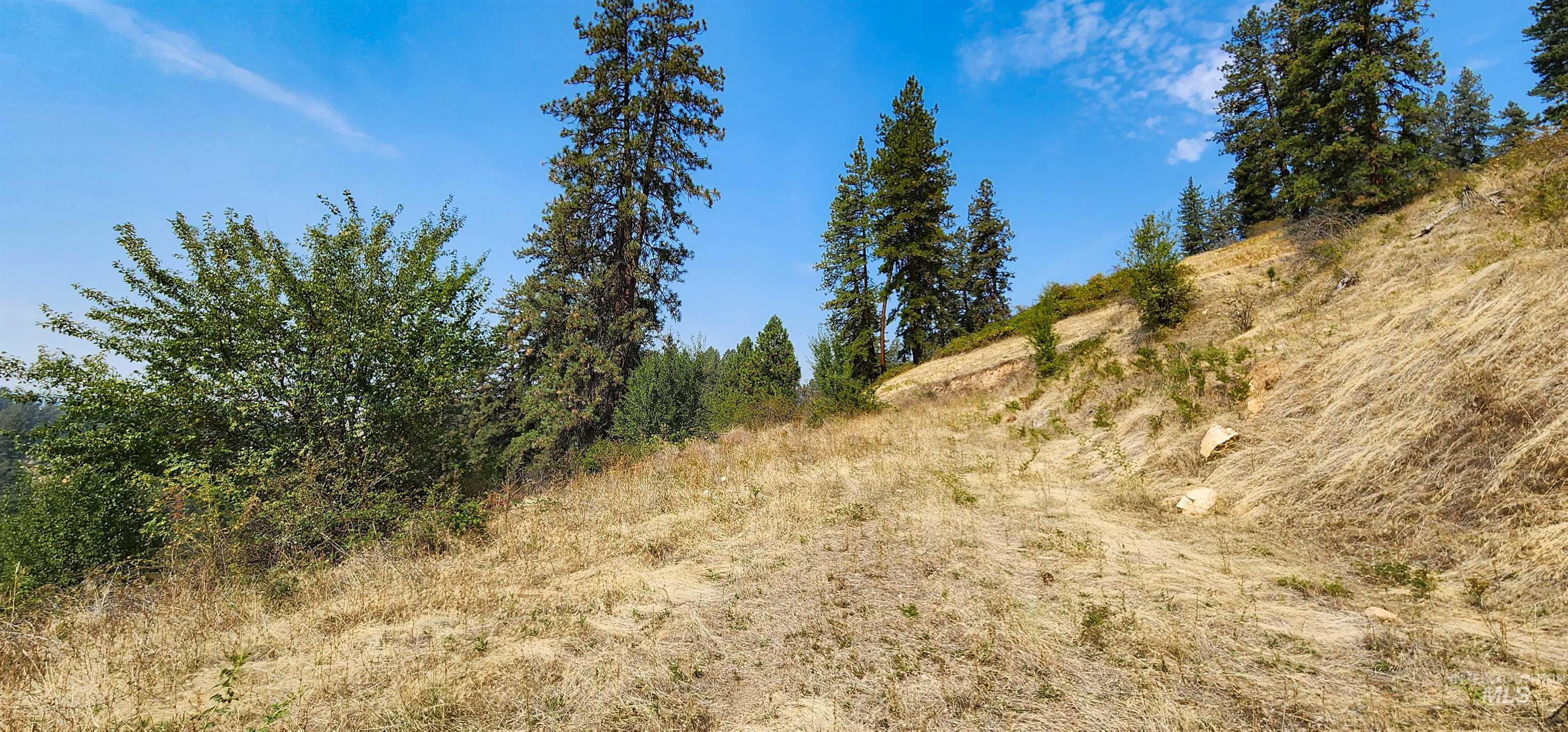 Tbd Suttler Creek Road Kooskia, ID 83539 - Photo 5 of 17 View of nature
