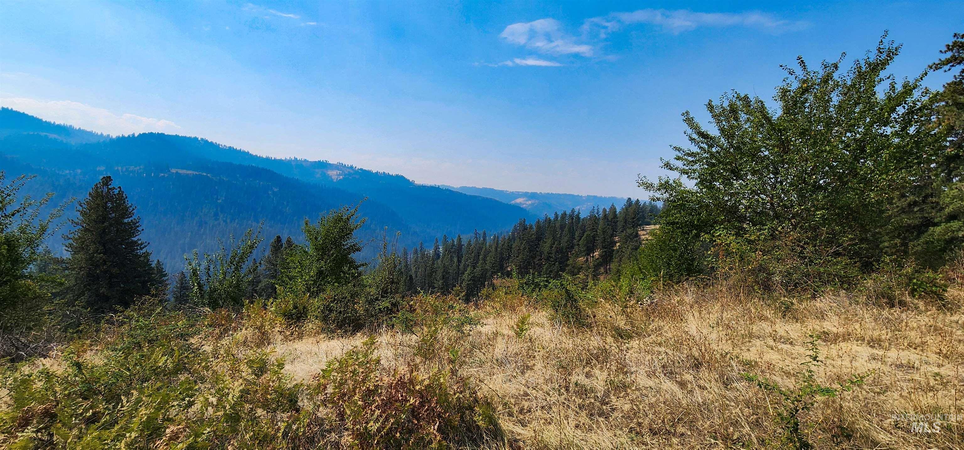 Tbd Suttler Creek Road Kooskia, ID 83539 - Photo 6 of 17 View of mountain backdrop with a heavily wooded area