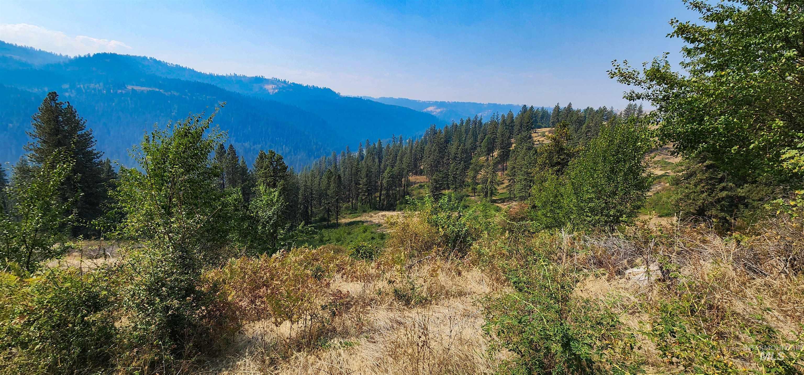 Tbd Suttler Creek Road Kooskia, ID 83539 - Photo 8 of 17 View of mountain backdrop featuring a heavily wooded area