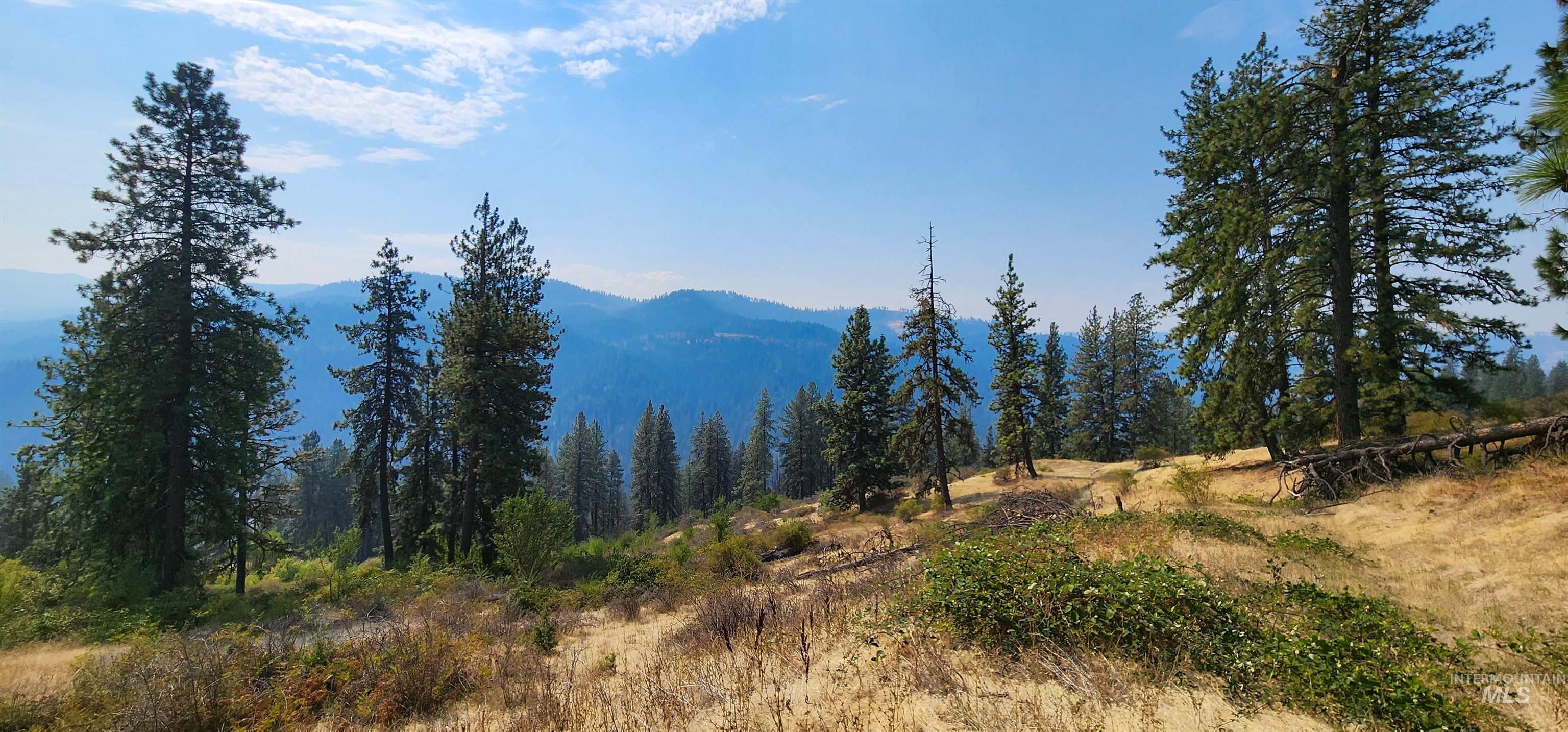 Tbd Suttler Creek Road Kooskia, ID 83539 - Photo 10 of 17 Mountain view with a forest