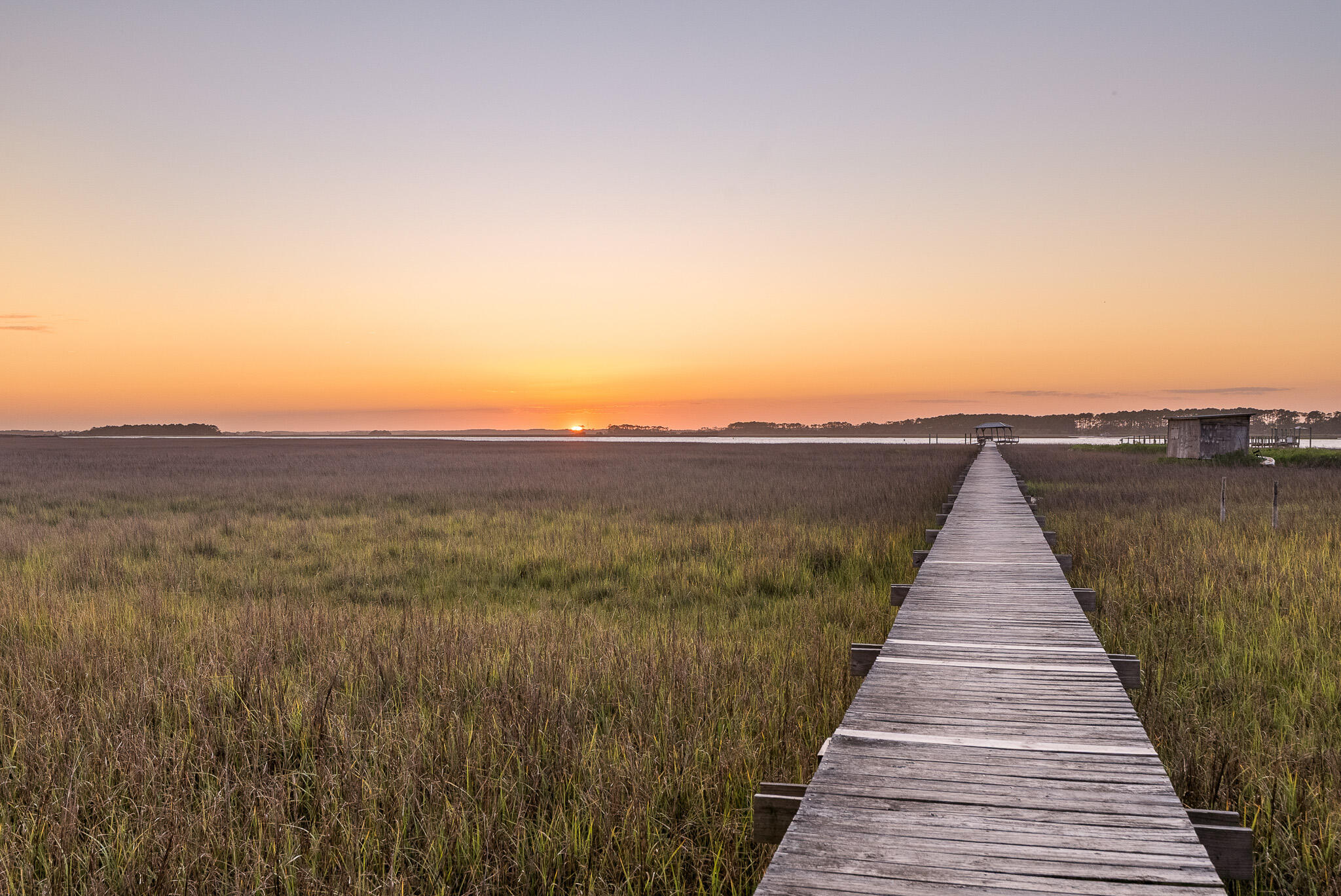 1024 West Ashley Avenue Folly Beach, SC 29439 - Photo 4 of 75 TB Media_Twilight_3