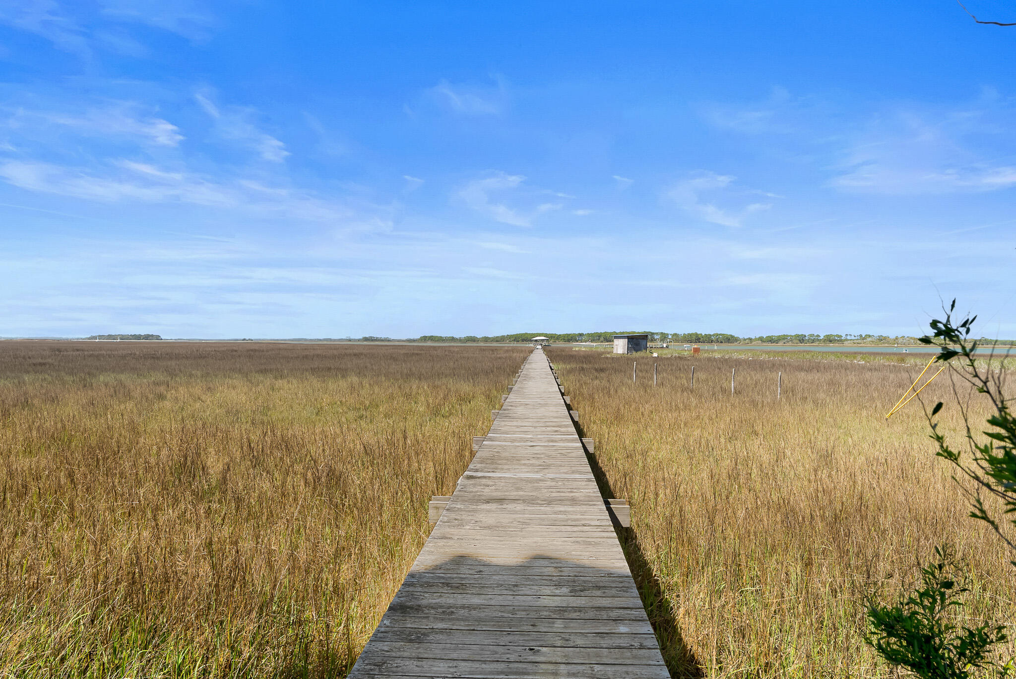 1024 West Ashley Avenue Folly Beach, SC 29439 - Photo 5 of 75 W Ashley_89
