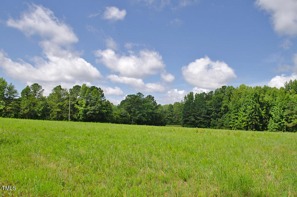 0 Range Road Stem, NC 27581 - Photo 9 of 35 DSC_0003