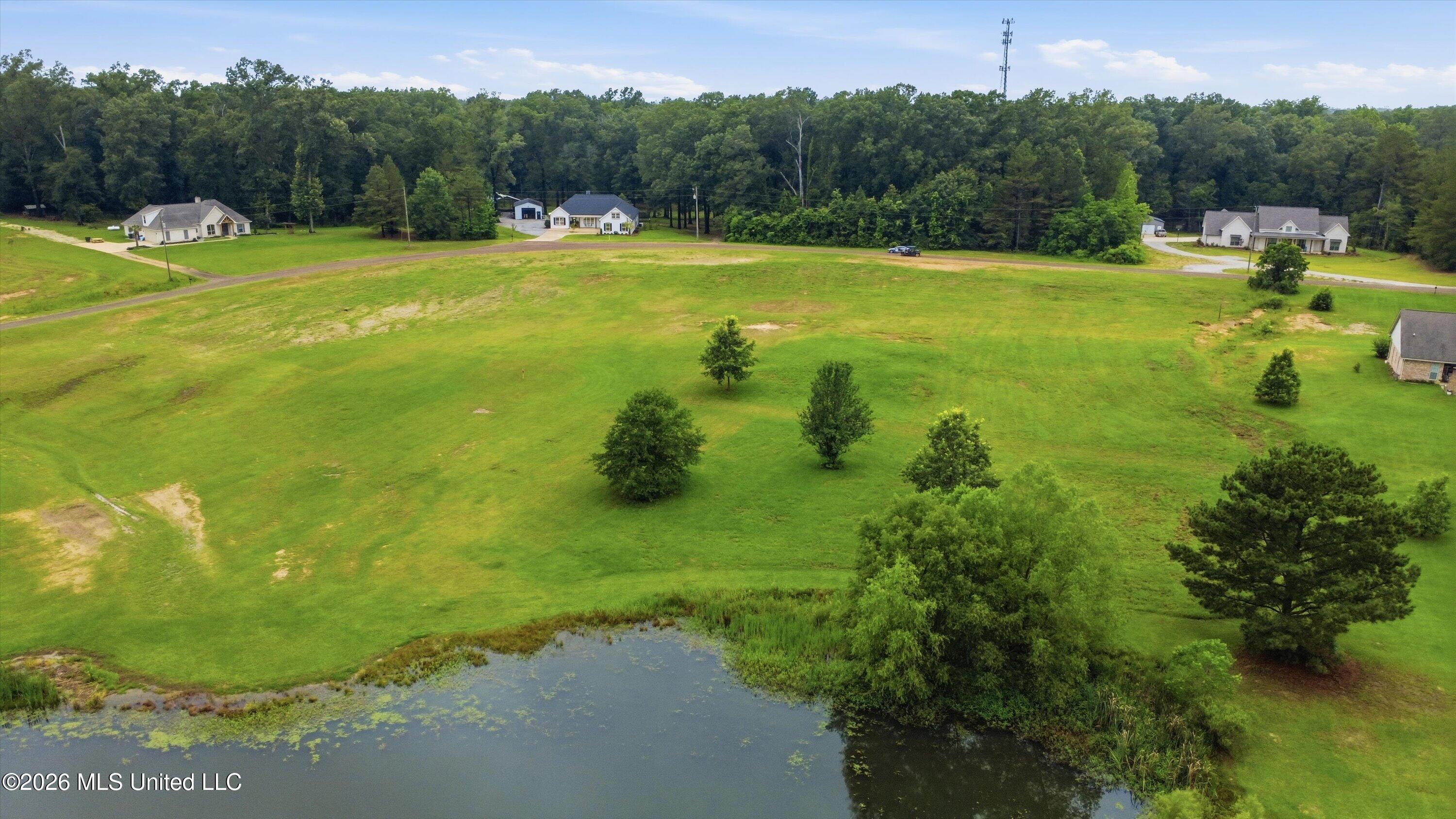 142 Iron Oak Ridge Brandon, MS 39042 - Photo 5 of 26 09-142_Iron_Oak_Ridgee_010