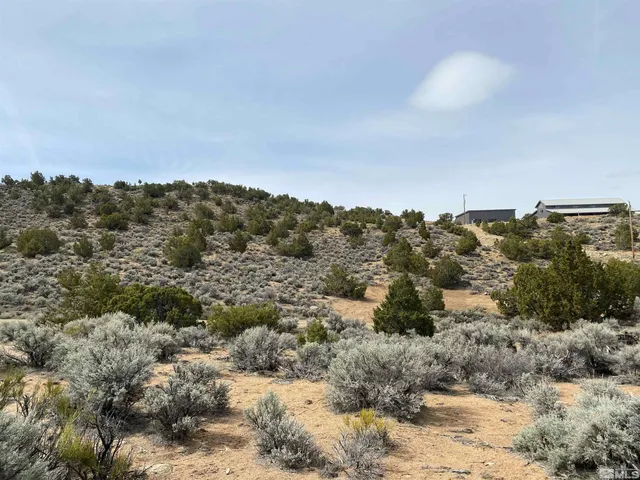 a view of a bunch of trees in a field