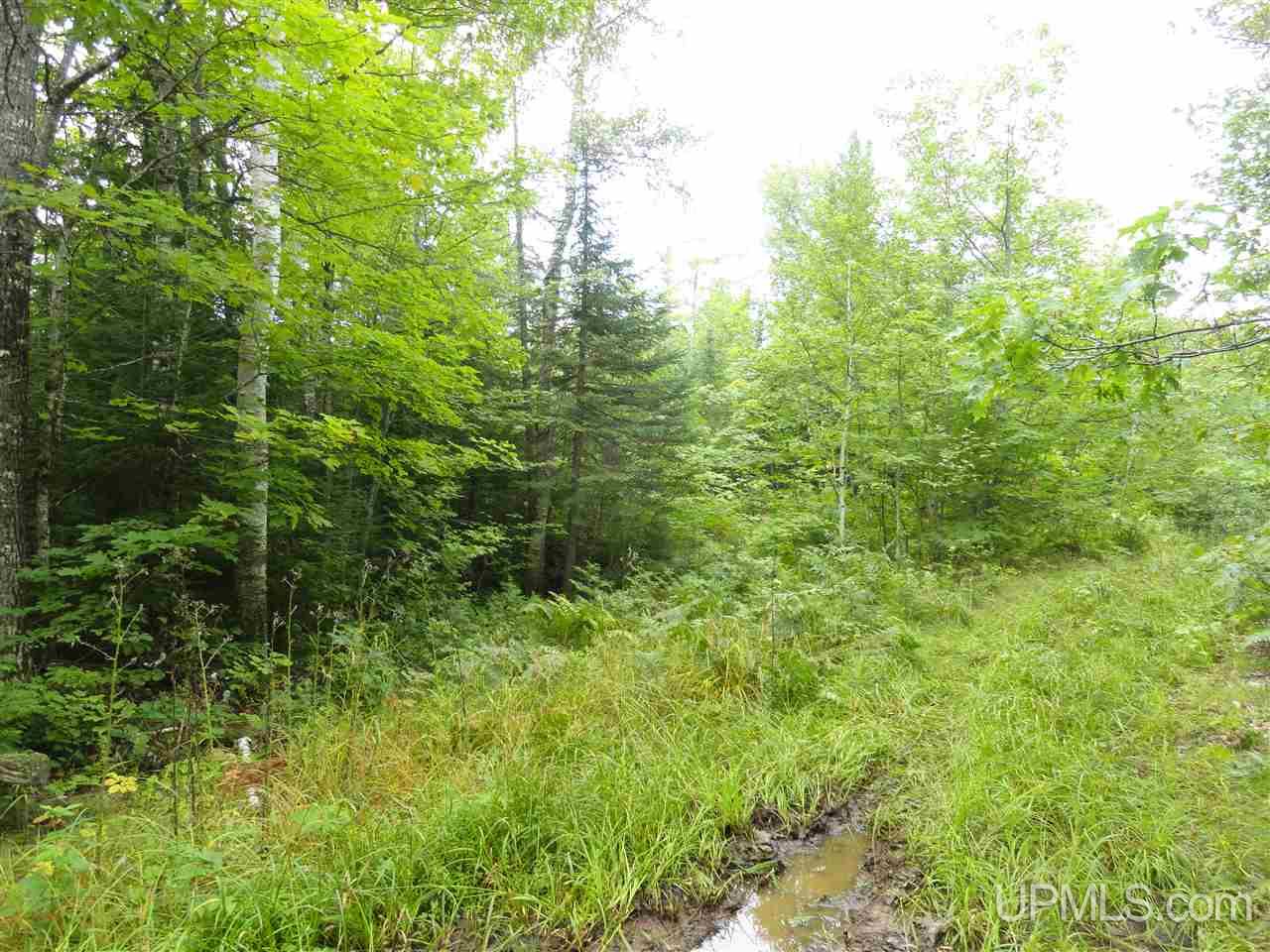 510 Rd Marquette Mi 49855 Road Negaunee, MI 49866 - Photo 6 of 26