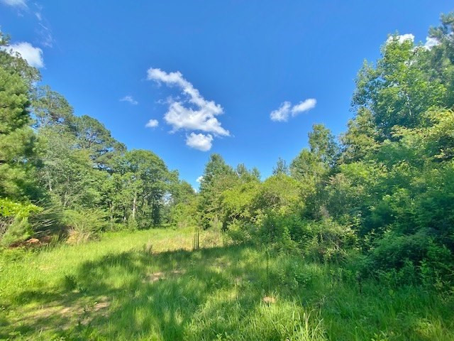 4023 Fred Martin Road Summit, MS 39666 - Photo 23 of 27 Photo 23