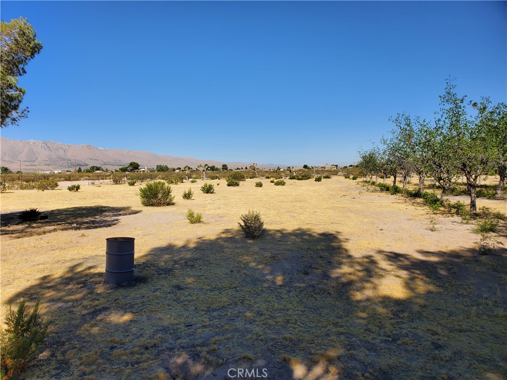 9870 Cody Road Lucerne Valley, CA 92356 - Photo 5 of 37