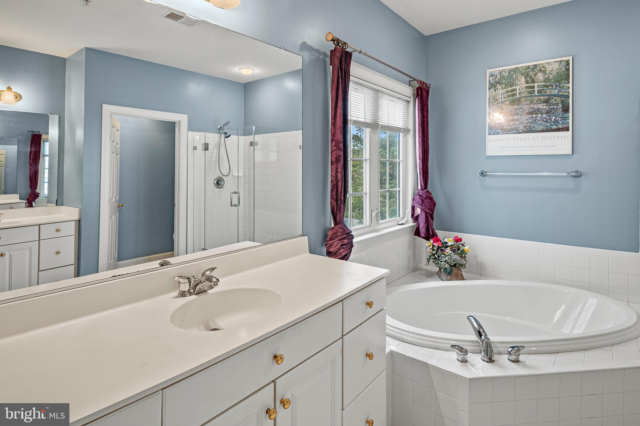 12912 Bay Hill Drive Beltsville, MD 20705 - Photo 32 of 60 a bathroom with a tub sink and mirror