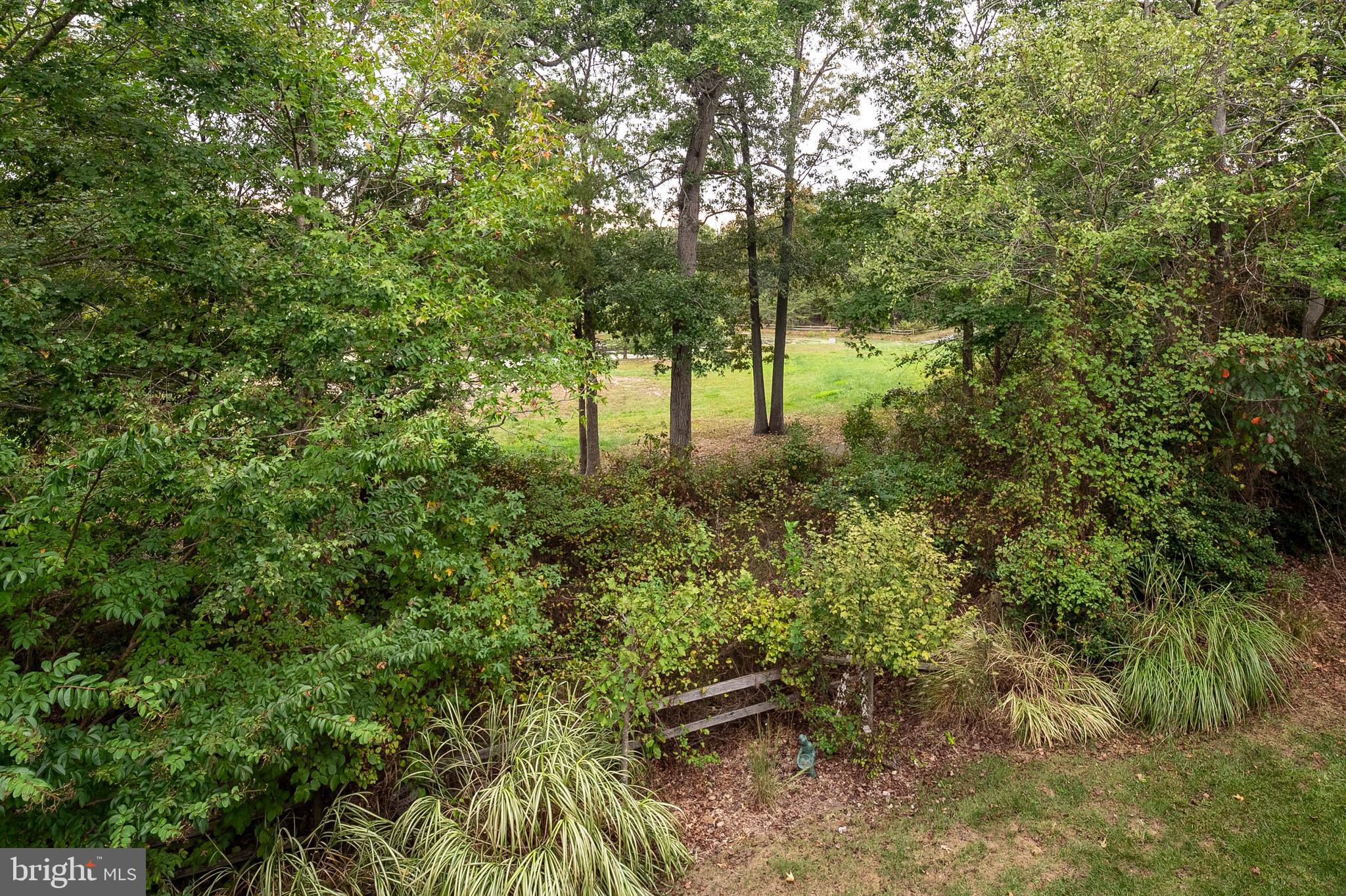 12912 Bay Hill Drive Beltsville, MD 20705 - Photo 46 of 60 a view of a yard with large trees
