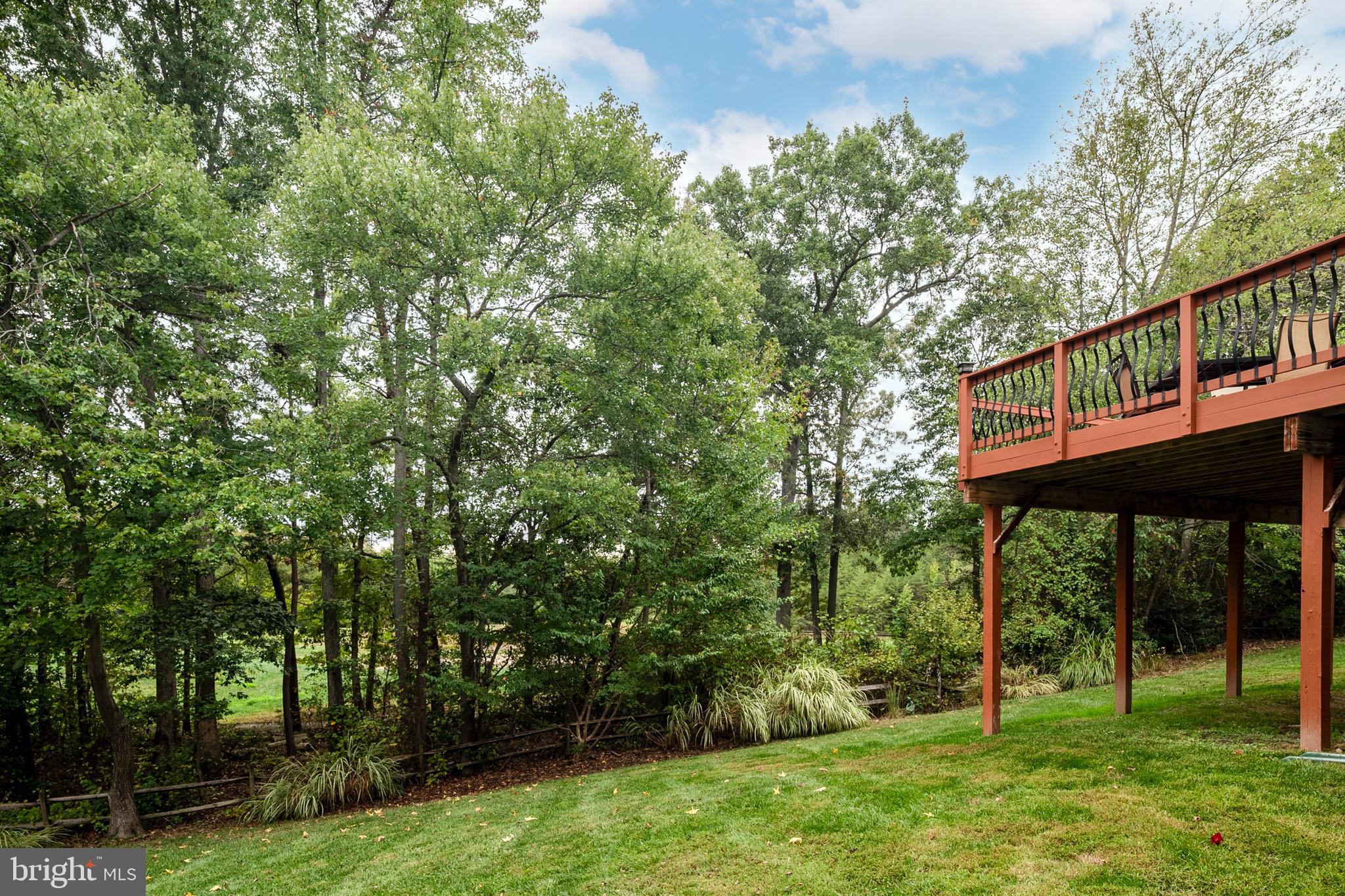 12912 Bay Hill Drive Beltsville, MD 20705 - Photo 49 of 60 a view of backyard with green space and deck