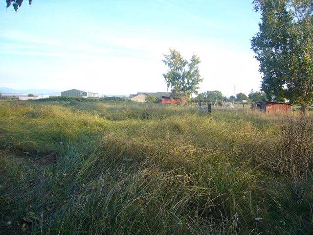 5175 Hopson Road Anderson, CA 96007 - Photo 4 of 10 back acreage