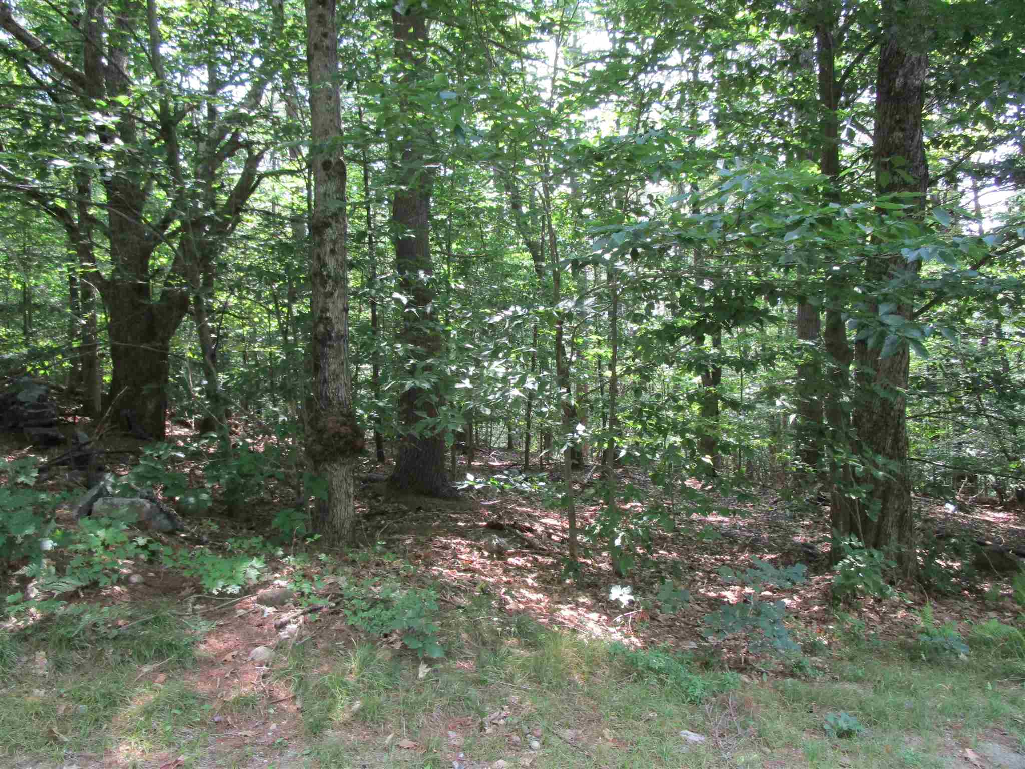 32 Harold Avery Road, Unit LOT 8 Ashland, NH 03217 - Photo 6 of 7 Gallery Image 6