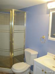 6403 Weber Road St. Louis, MO 63123 - Photo 33 of 42 Gallery Image 33