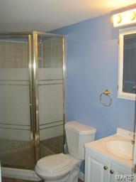 6403 Weber Road St. Louis, MO 63123 - Photo 34 of 42 Gallery Image 34