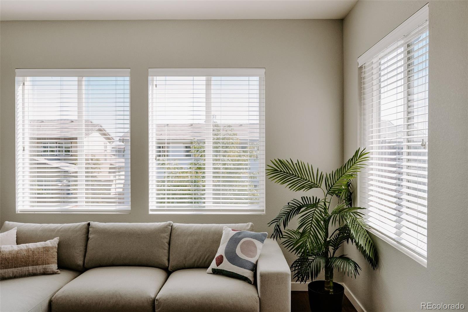 10939 Touchstone Loop Parker, CO 80134 - Photo 16 of 40