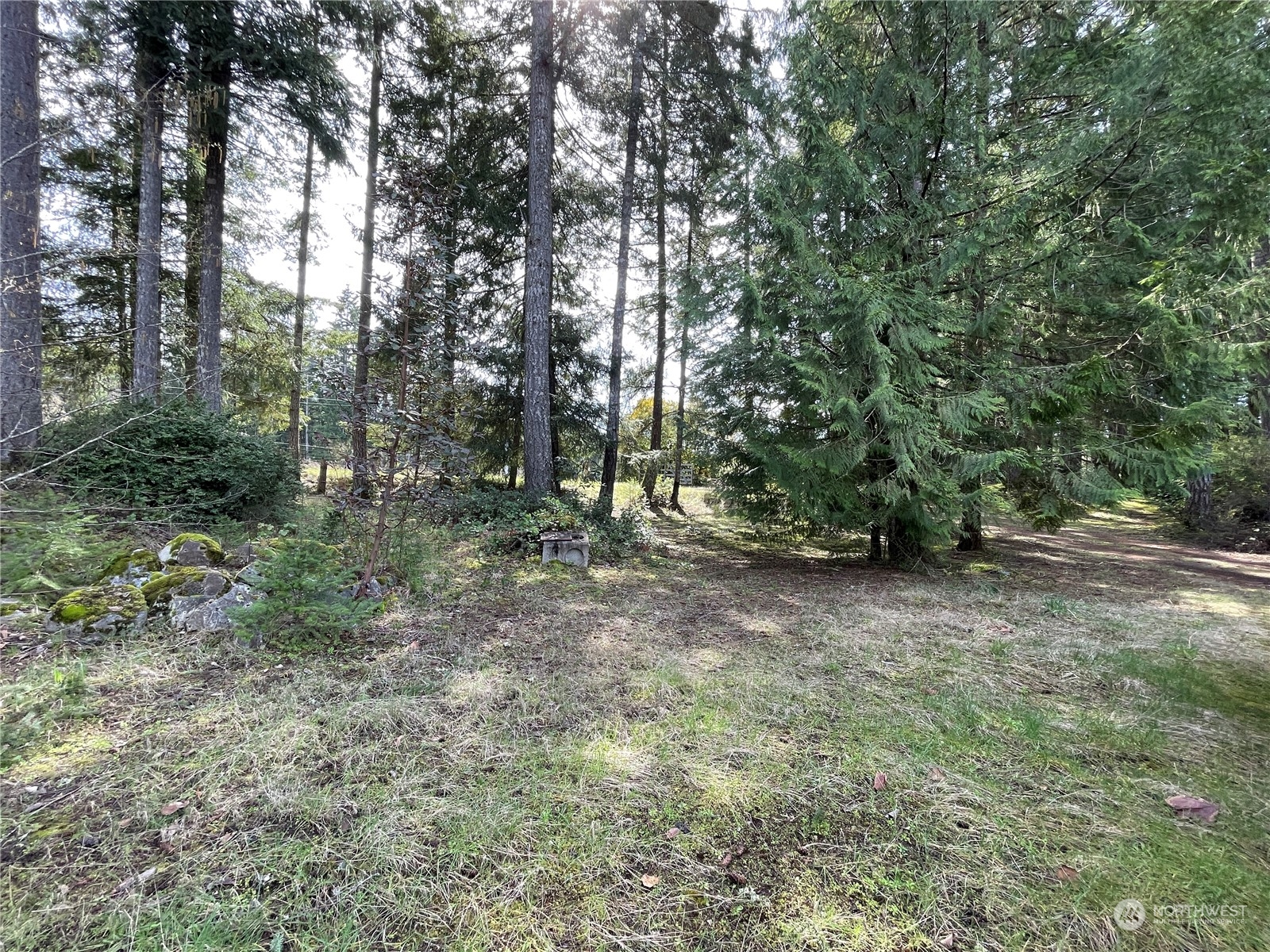 1630 East Rasor Road Belfair, WA 98528 - Photo 15 of 40 Gallery Image 15